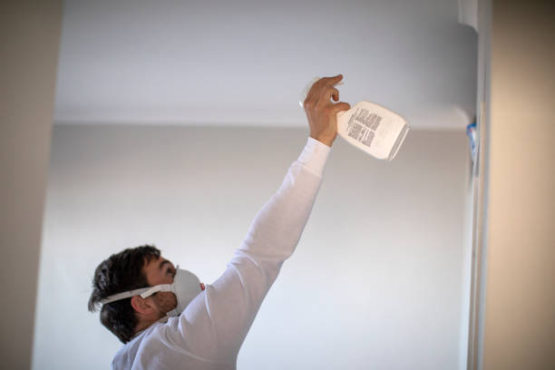Best Home Mold Removal  in Bertsch Oceanview, CA