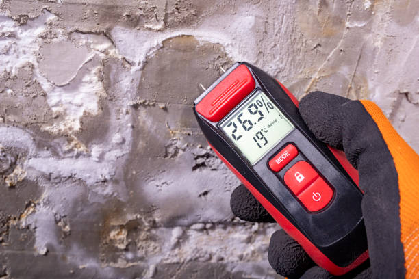 Best Fast Mold Removal  in Bertsch Oceanview, CA