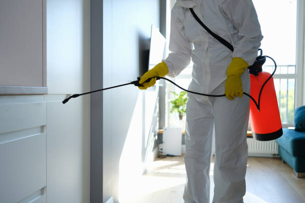 Best Toxic Mold Removal  in Bertsch Oceanview, CA