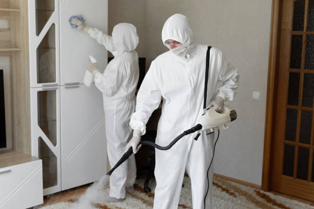 Best Crawl Space Mold Removal  in Bertsch Oceanview, CA