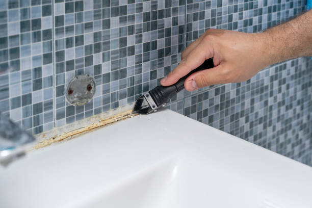 Office Mold Removal Services in Bertsch Oceanview, CA