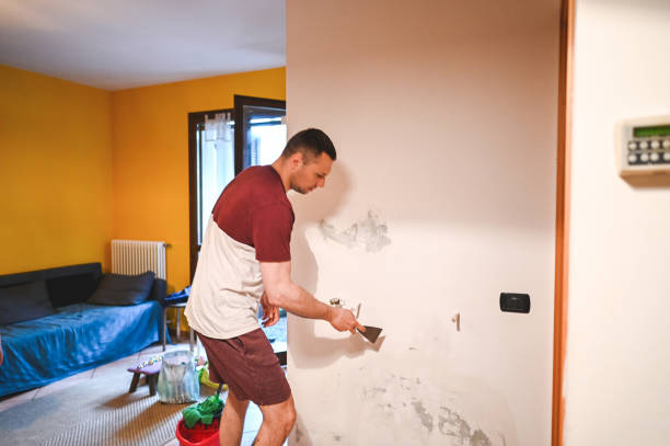 Best Mold Removal Company Near Me  in Bertsch Oceanview, CA