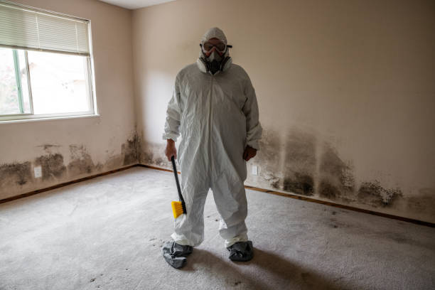 Best Same-Day Mold Removal  in Bertsch Oceanview, CA